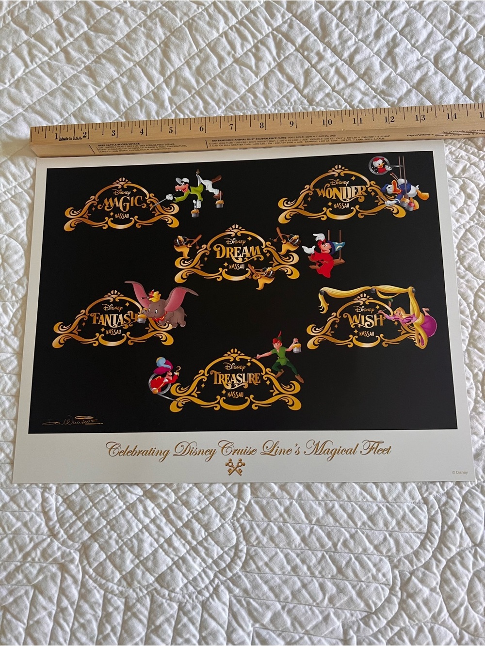 Disney Cruise Line Lithograph